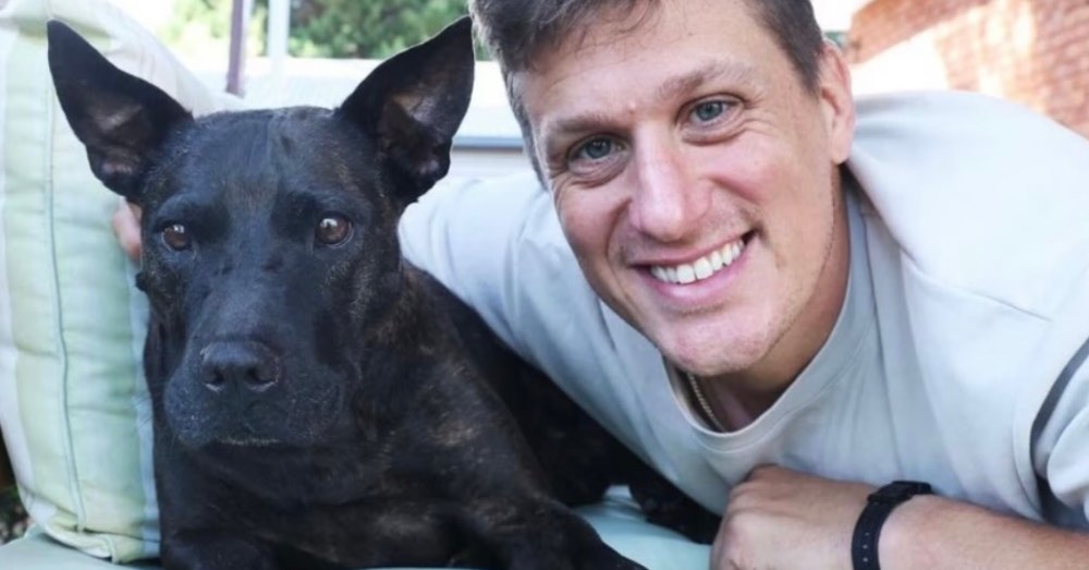 ¡Impresionante! Hombre usó ChatGPT y análisis genético para crear vacuna que redujo tumor de su perrita