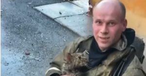 Héroe en Rusia salva a gato con maniobras de reanimación