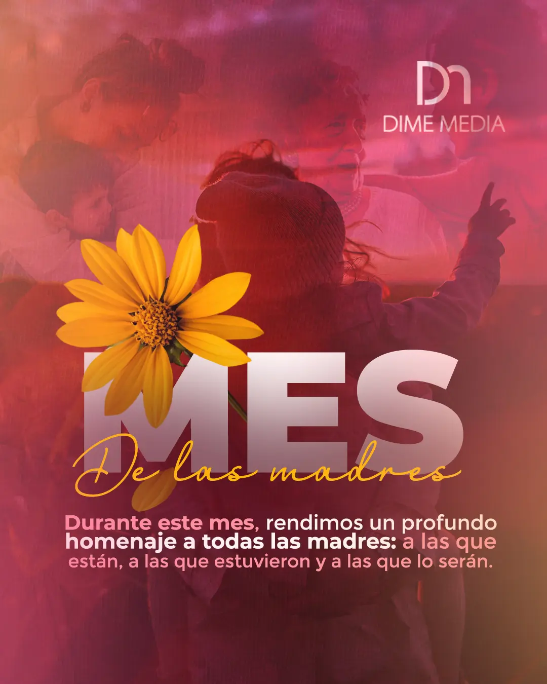 Banner Publicitario